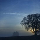 Late November Dawn